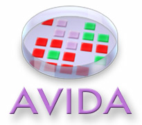 Avida